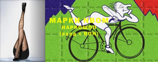 ГАЛЛЮЦИНОГЕННЫЕ ГРИБЫ Белокуриха
