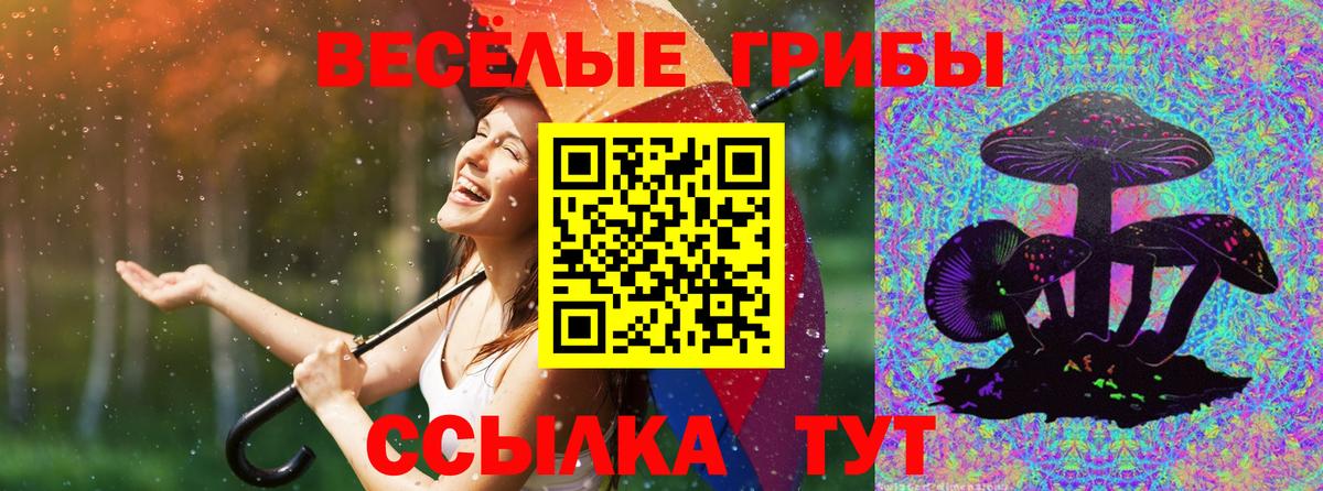 Галлюциногенные грибы GOLDEN TEACHER Верхняя Пышма